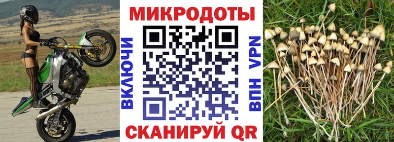 Псилоцибиновые грибы прущие грибы  Купить  Иланский 