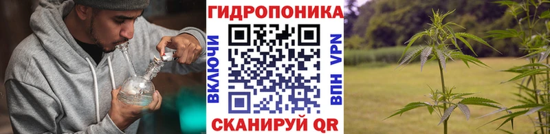 МАРИХУАНА SATIVA & INDICA  Купить где  Иланский 